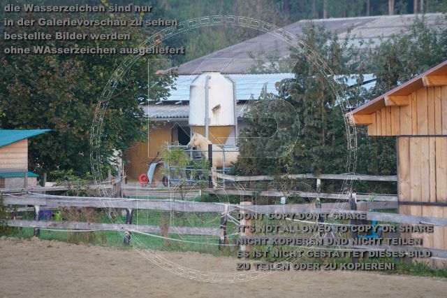 s_K3F07651.JPG